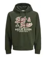 Sweat à capuche Homme JJELOGO SWEAT HOOD 2 COL 25/26 NOOS Vert