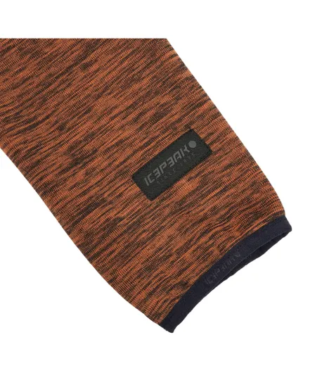 Polaire homme ICEPEAK BOLIGEE