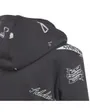 Sweat zip à capuche Enfant J BLUV Q3 FZHD Gris