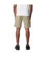 Short Homme SILVER RIDGE UTILITY CARGO SHORT Beige