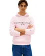 Sweat à Capuche Homme Tommy Logo Hoody