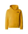 Sweat à capuche Enfant TEEN REDBOX REGULAR P/O HOODIE Jaune