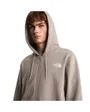 Sweat À Capuche Homme Simple Dome Light Regular