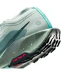 Chaussures de trail Homme NIKE PEGASUS TRAIL 5 GTX