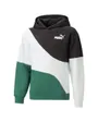 Sweat a capuche manches longues Enfant JR PP CAT HDY TR B Vert