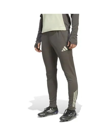 Pantalon de survetement Homme REAL TR PNT Vert