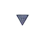 Polo Garçon Guess Coton Viscose