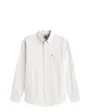 Chemise Oxford Homme TJM REG STRIPE OXFORD SHIRT EXT