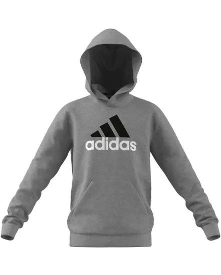 Sweat a capuche manches longues Enfant U BL 2 HOODIE Gris