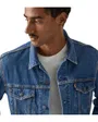 Veste Denim Homme The Trucker Jacket