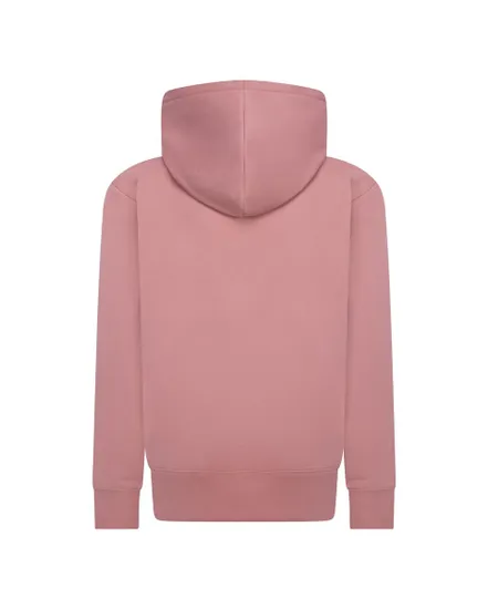 Sweat à capuche Garçon JDB JUMPMAN SUSTAINABLE PULLOV Rose