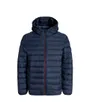 Doudoune Homme JJEBRADLEY Light Puffer Hood Noos