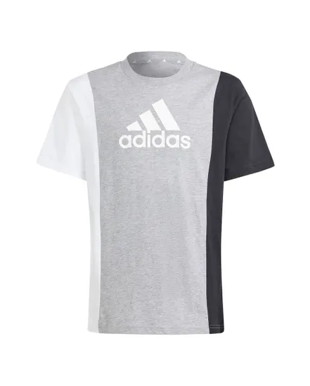 Ensemble de survetement Enfant J CB T SET Gris