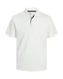 Polo Homme JPRCCRODNEY SS NOOS