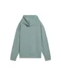 Sweat à capuche Femme ESS ELEVATED COMFORT RIB HOODIE Vert