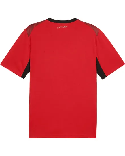 Maillot Réplique Homme Égypte Domicile