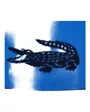 Bonnet Unisexe Lacoste Réversible