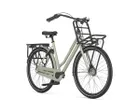 Vélo urbain Unisexe HEAVYDUTYNL 3V Vert Pistache