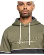 Sweat à capuche Homme SUNCHISER Vert