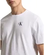 T Shirt Homme SS 30S Classic Back Monologo Tee