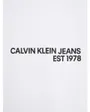 T-shirt Homme CK SPRAY TEE Blanc