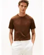 T-shirt Homme ESS SEASONAL REG FIT Marron