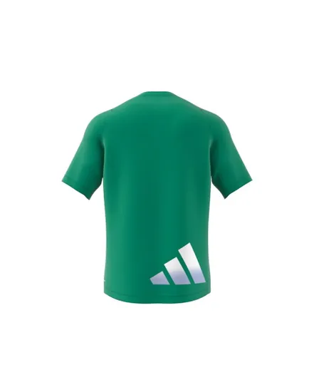 T-shirt manches courtes Homme TI 3BAR TEE Vert