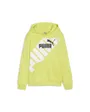 Sweat à capuche Enfant B PP GRAF HDY TR Vert