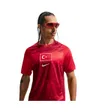 Maillot de Foot Homme Turquie Dri-FIT Stadium