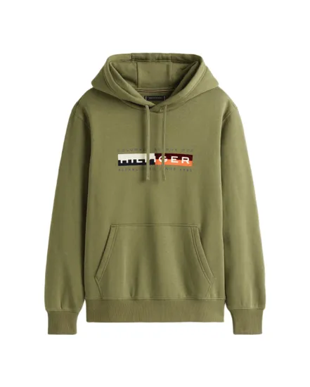 Sweat à capuche Homme TH COLOUR BLOCK GRAPHIC HOODIE Vert