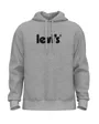 Sweat à capuche manches longues Homme T2 RELAXED GRAPHIC PO Gris