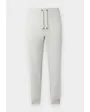 Pantalon de survêtement Homme SECHUP Gris Clair