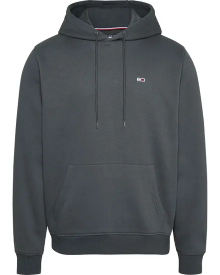 Sweat à capuche Homme TJM REG S FLAG HOODI Gris