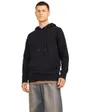 Sweat à capuche Homme JJEPAULOS