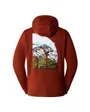 Sweat à capuche Homme M SEASONAL GRAPHIC HOODIE Rouge