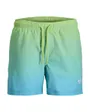 Short de Bain Homme Maui Horizon