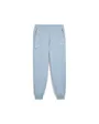 Pantalon de survetement Homme BMW MMS ESS+ PANTS FLEECE Bleu