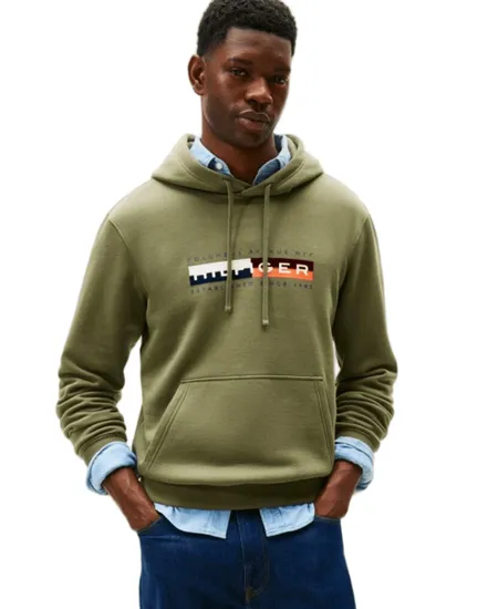 Sweat à capuche Homme TH COLOUR BLOCK GRAPHIC HOODIE Vert