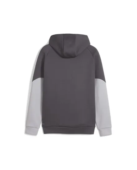 Sweat zip à capuche Homme MCFC PUMATECH FZ HOO Gris