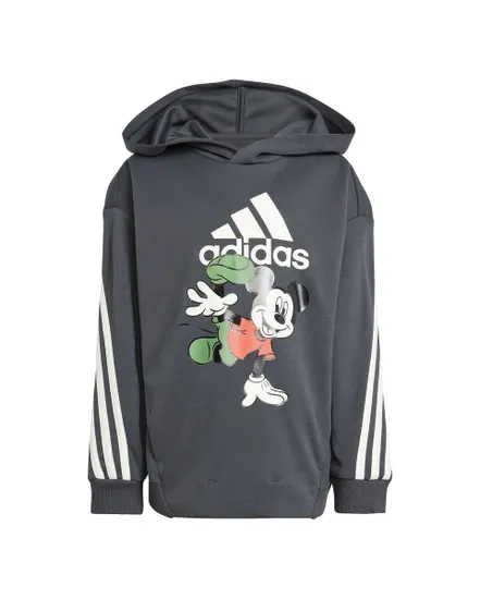 Sweat à capuche Enfant LK DY MM SWT Gris