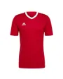 Maillot de Foot Homme Entrada 22