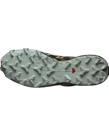 Chaussures Trail Homme Speedcross 6 GTX