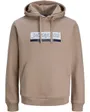 Sweat à Capuche Homme Jorinwood Block Branding