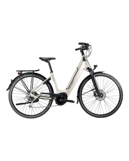 Vélo électrique urbain Unisexe EC01 POWERTUBE D9 ACTIVE PLUS 500 Wh Gris