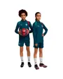Top D'entraînement Enfant FPF Training 1/4 Zip