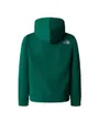 Sweat à capuche Enfant B DREW PEAK P/O HOODIE Vert