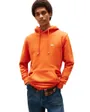 Sweat À Capuche Homme TJM Reg Badge Hoodie Ext