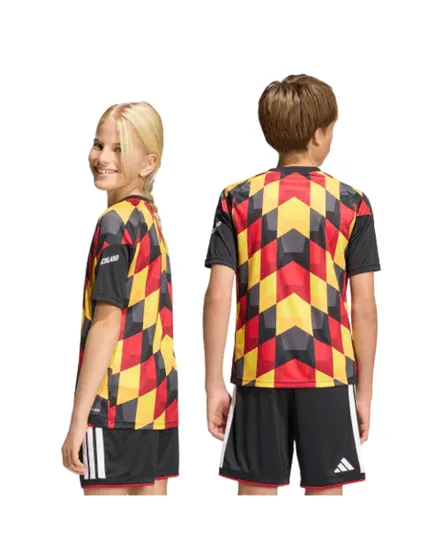 Maillot Pré-Match Homme DFB PRESHI H Y