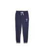 Pantalon de survetement Homme FD SQUAD SW PANT FL CL Bleu