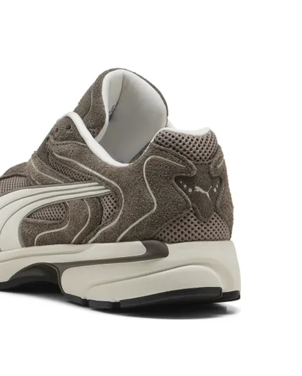 Chaussures Unisexe EXTOS SD Marron